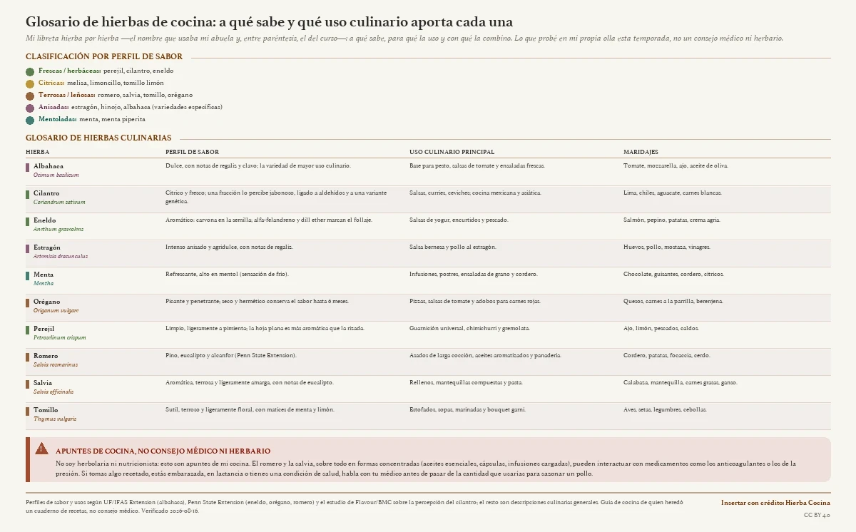 Glosario visual de hierbas de cocina: la clasificación por cinco perfiles de sabor (frescas, cítricas, terrosas, anisadas y mentoladas) y una tabla de diez hierbas culinarias —albahaca, cilantro, eneldo, estragón, menta, orégano, perejil, romero, salvia y tomillo— con su perfil de sabor, uso culinario y maridajes, más una nota de seguridad sobre interacciones de hierbas concentradas con medicamentos.